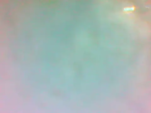 TheDoggyAss online show from April 19, 9:50 pm