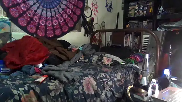 GardeniaFields online show from December 17, 4:51 am