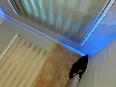 Snapshot of lovelychanel69xx chatting on September 9, 11:36 pm lovelychanel69xx online show from September 9, 11:36 pm