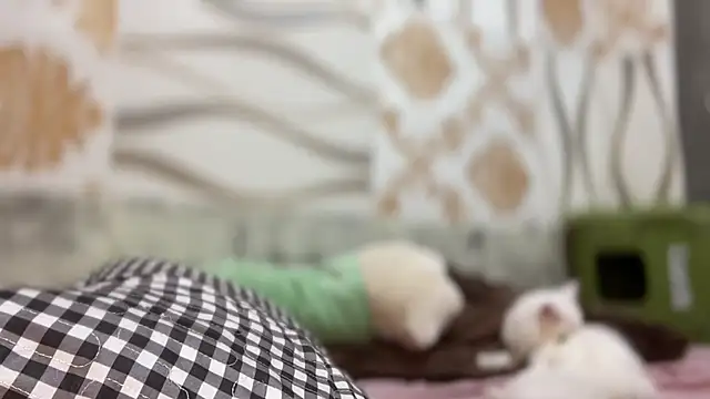 Yourbaby angelx online show from March 3, 4:47 pm