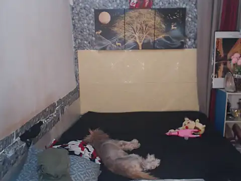 Alexandriasexycock4u online show from September 18, 3:45 am