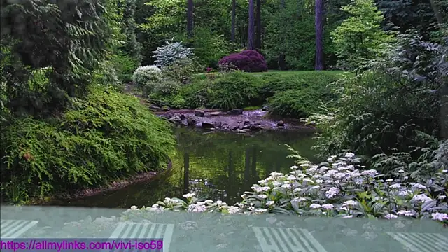 vivi-iso59 online show from March 4, 4:29 am