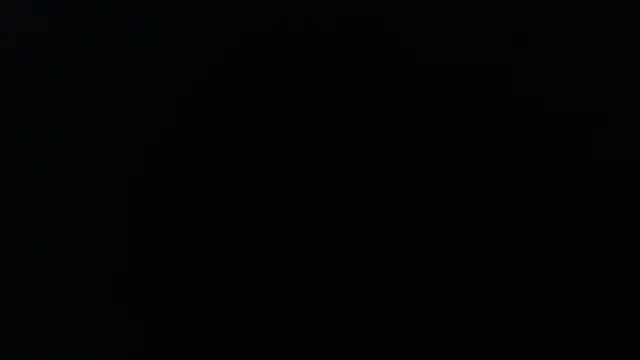 knodli online show from November 19, 11:32 am