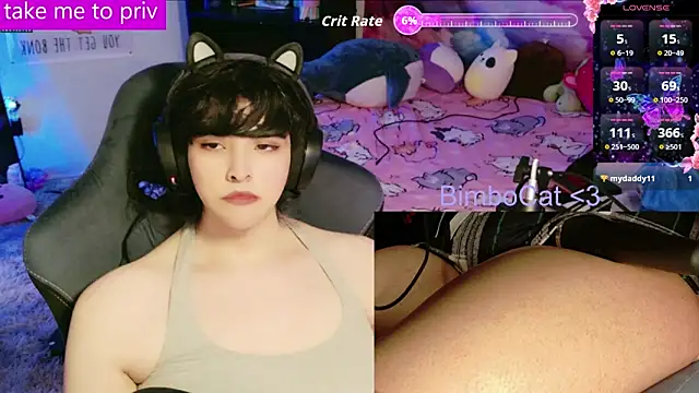 BimboCat online show from February 3, 6:40 am