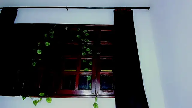 laaura dolll online show from April 10, 6:41 am