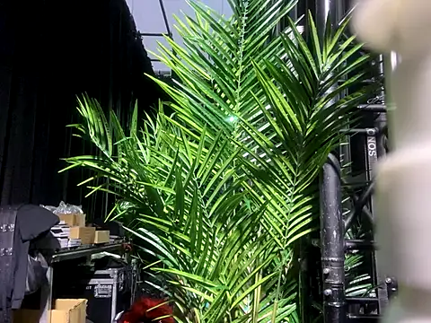 tamarapervert online show from September 27, 12:58 pm