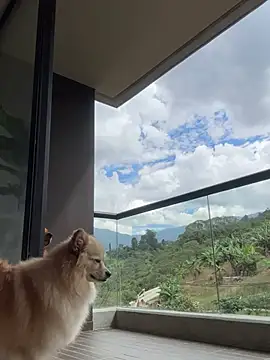 Helenbronwx online show from January 6, 6:52 pm